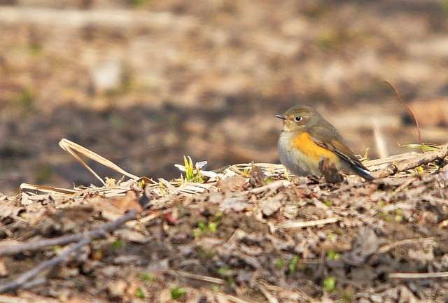 ***
Фотограф: Сергей Буркацкий

Просмотров: 1684
Комментариев: 6