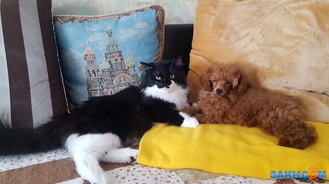 Вася и Мэри

Просмотров: 1098
Комментариев: 2