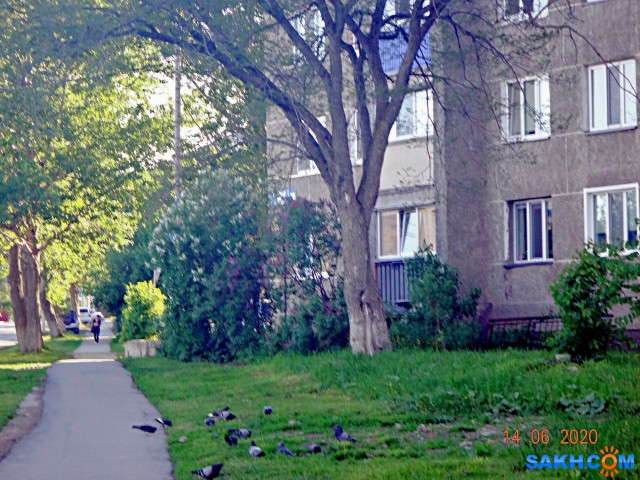 А у нас во дворе...

Просмотров: 851
Комментариев: 0