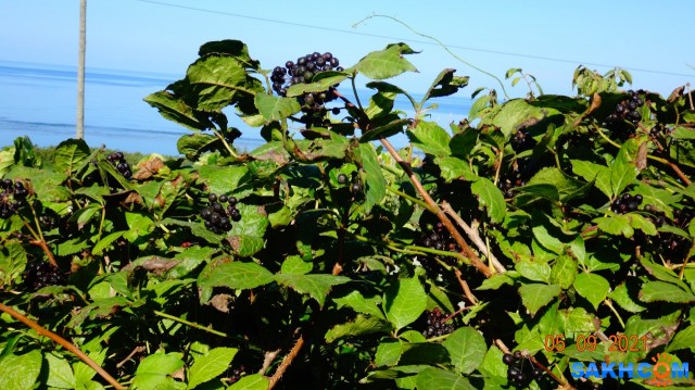 DSC05349
