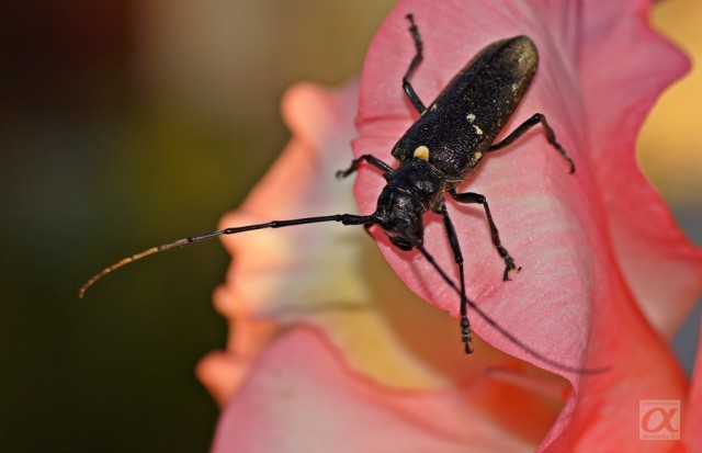 ***
Фотограф: Сергей Буркацкий

Просмотров: 647
Комментариев: 0
