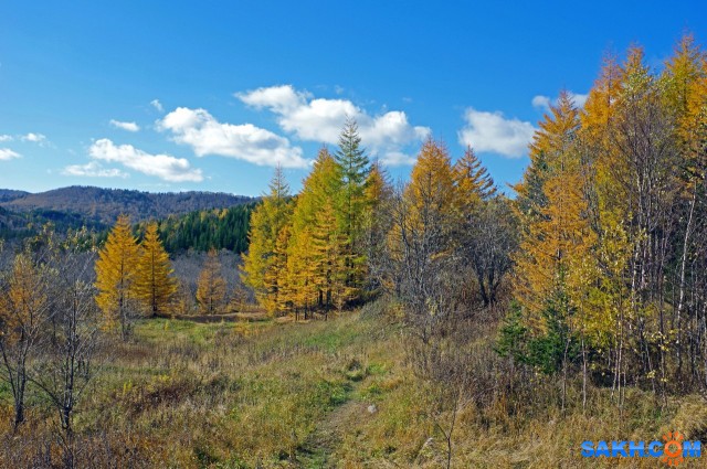085-к

Просмотров: 869
Комментариев: 0