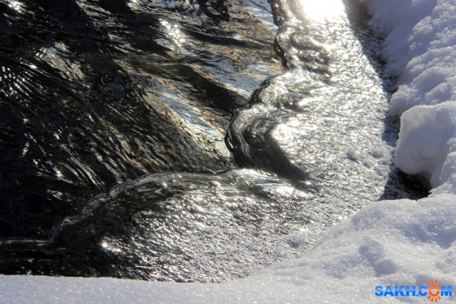 вода

Просмотров: 396
Комментариев: 0