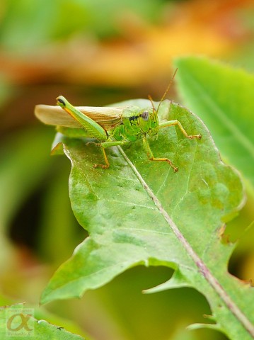 ***
Фотограф: Сергей Буркацкий

Просмотров: 978
Комментариев: 0