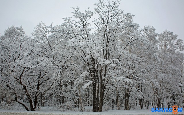 027-к

Просмотров: 542
Комментариев: 0