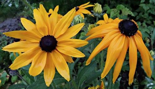 DSC00840
Фотограф: Сергей Буркацкий

Просмотров: 355
Комментариев: 0