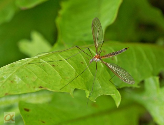 ***

Просмотров: 567
Комментариев: 0