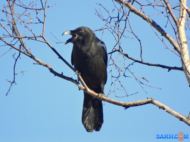 Фото 155

Просмотров: 600
Комментариев: 3