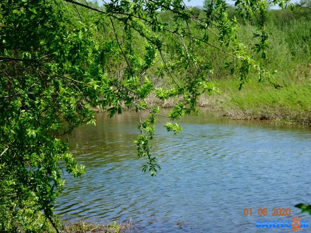 Лютога.