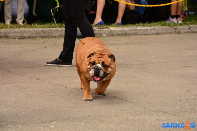 DSC_0043 (1280x853)
Фотограф: Vitus

Просмотров: 389
Комментариев: 0