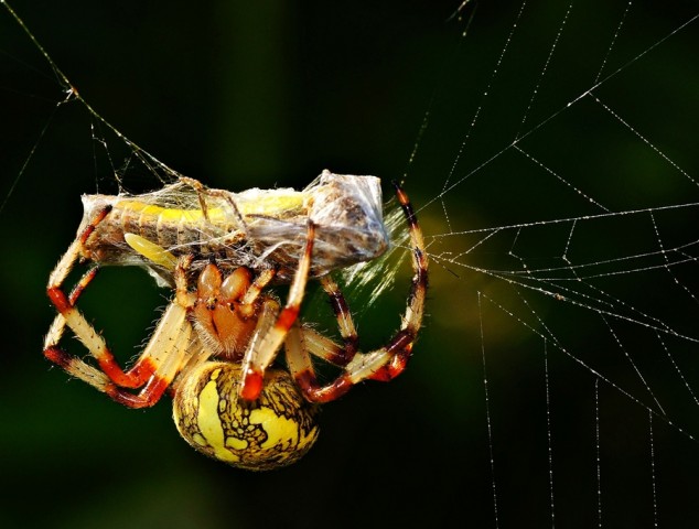 ***
Фотограф: Сергей Буркацкий

Просмотров: 561
Комментариев: 0