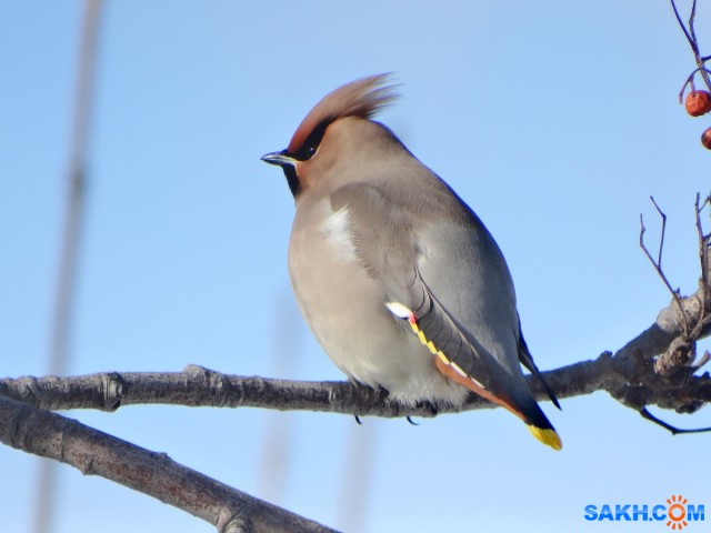 DSC05052_н

Просмотров: 405
Комментариев: 0