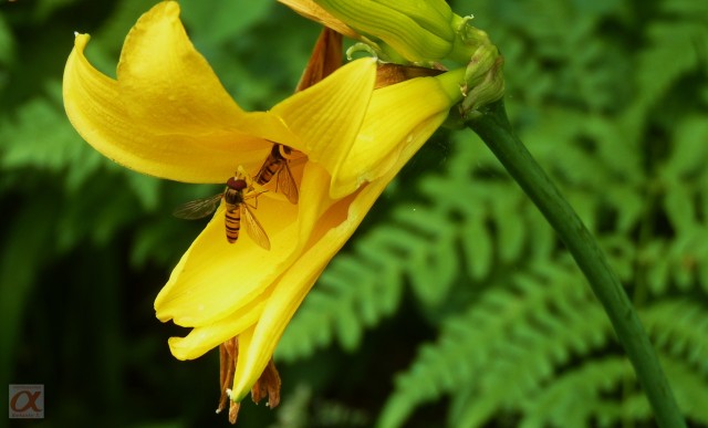 ***
Фотограф: Сергей Буркацкий

Просмотров: 748
Комментариев: 0