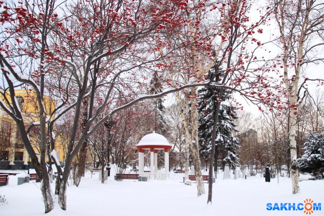 7
Фотограф: 11m

Просмотров: 367
Комментариев: 0