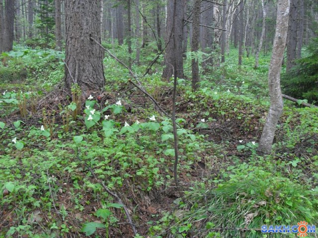 2013-06-02 Объекты вблизи Марьевки

Просмотров: 1495
Комментариев: 0
