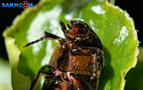 DSC05586
Фотограф: Сергей Буркацкий

Просмотров: 329
Комментариев: 0