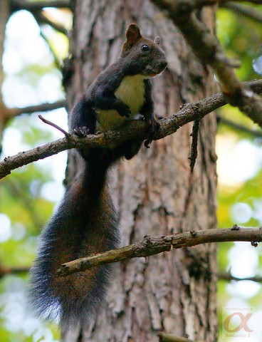 ***
Фотограф: Сергей Буркацкий

Просмотров: 1196
Комментариев: 0