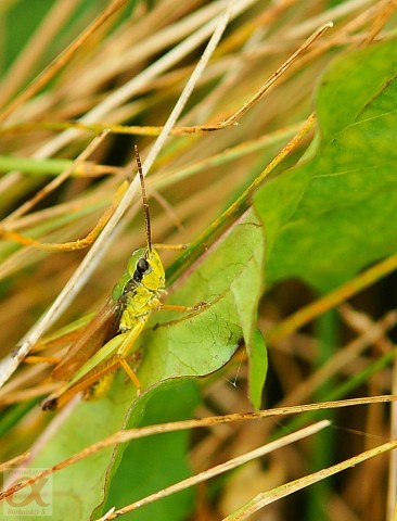 ***
Фотограф: Сергей Буркацкий

Просмотров: 1056
Комментариев: 0