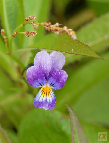 ***

Просмотров: 965
Комментариев: 0