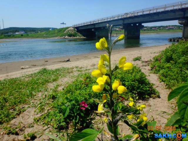 Охотское.