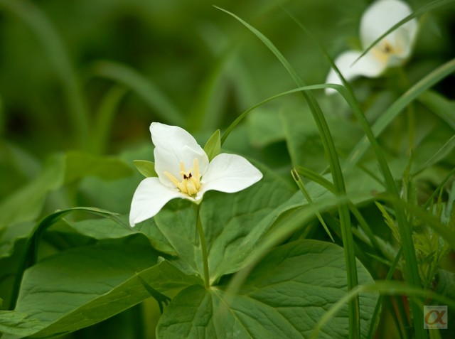 ***
Фотограф: Сергей Букацкий

Просмотров: 704
Комментариев: 0