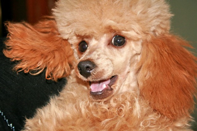 Фото 45

Просмотров: 1920
Комментариев: 0