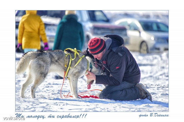 Ты молодец, ты справился!!!
Фотограф: В.Дейкин

Просмотров: 3335
Комментариев: 0