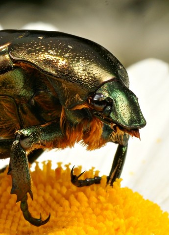 DSC01744
Фотограф: Сергей Буркацкий

Просмотров: 402
Комментариев: 0