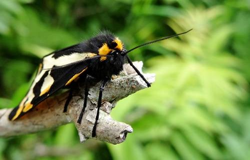 DSC00207
Фотограф: Сергей Буркацкий

Просмотров: 389
Комментариев: 0