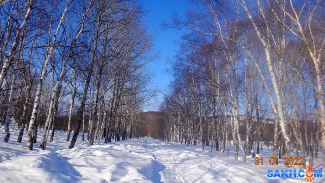 DSC08410

Просмотров: 401
Комментариев: 0