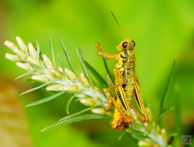 ***
Фотограф: Сергей Буркацкий

Просмотров: 942
Комментариев: 0