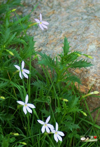 ***
Фотограф: Сергей Буркацкий

Просмотров: 997
Комментариев: 0