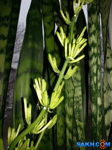 20140505_075627