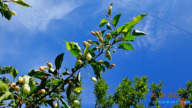 DSC09733