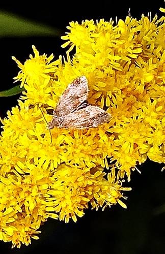 DSC04215
Фотограф: Сергей Буркацкий

Просмотров: 699
Комментариев: 0