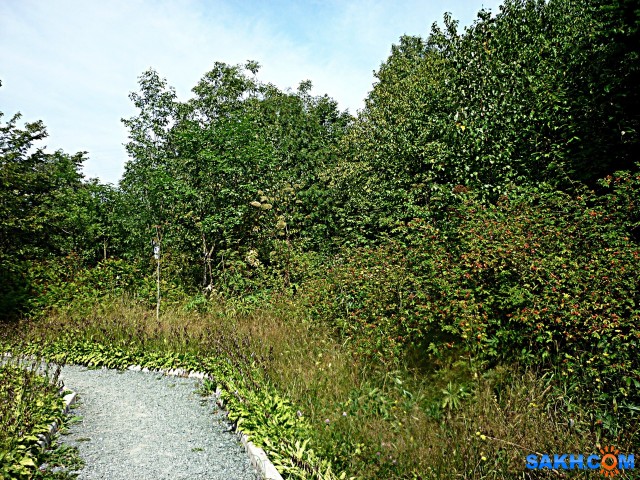 P1210776