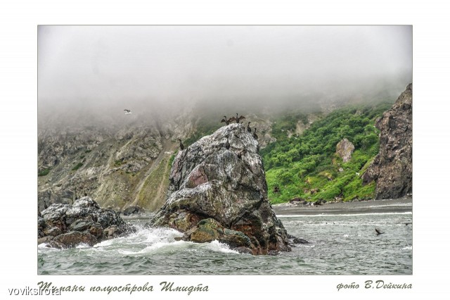 Туманы полуострова Шмидта

Просмотров: 3151
Комментариев: 3