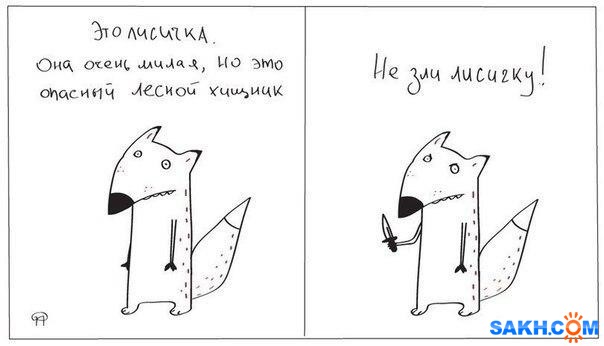 pek0CG9xtxk