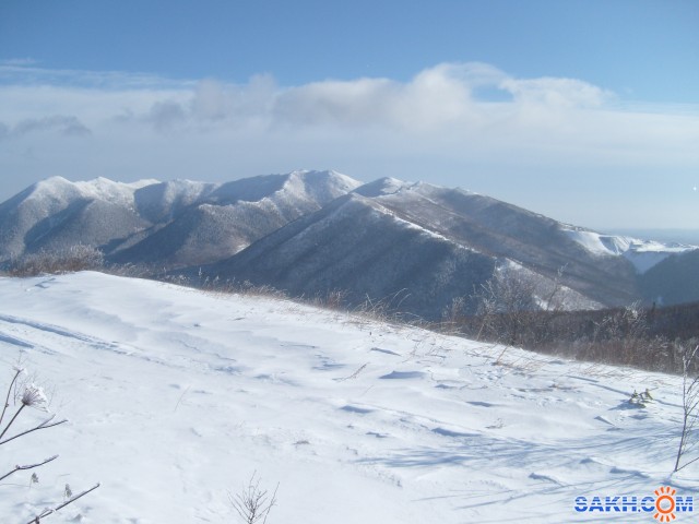 S7301552