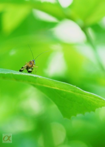 ***
Фотограф: Сергей Буркацкий

Просмотров: 575
Комментариев: 0