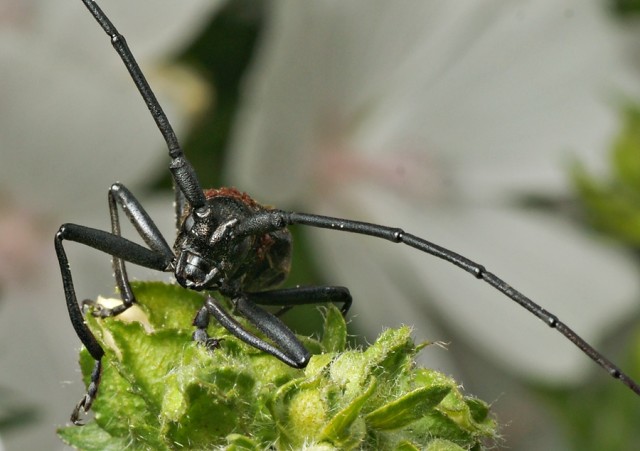 DSC01807
Фотограф: Сергей Буркацкий

Просмотров: 354
Комментариев: 0