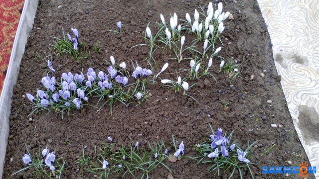 IMG_20140504_165914
Фотограф: mrnsin

Просмотров: 5415
Комментариев: 0