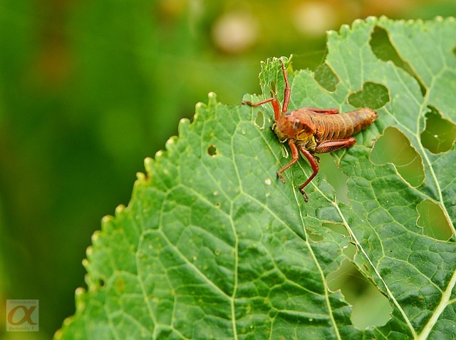 ***
Фотограф: Сергей Буркацкий

Просмотров: 829
Комментариев: 0