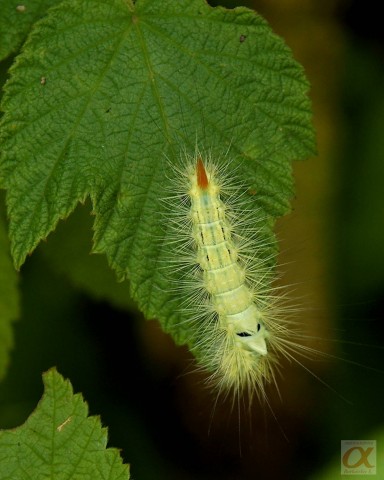 ***
Фотограф: Сергей Буркацкий

Просмотров: 745
Комментариев: 3