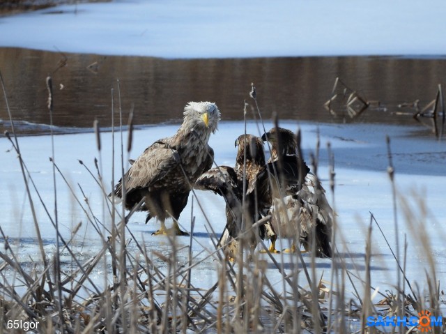а сейчас о главном.
10.04.2021

Просмотров: 345
Комментариев: 2