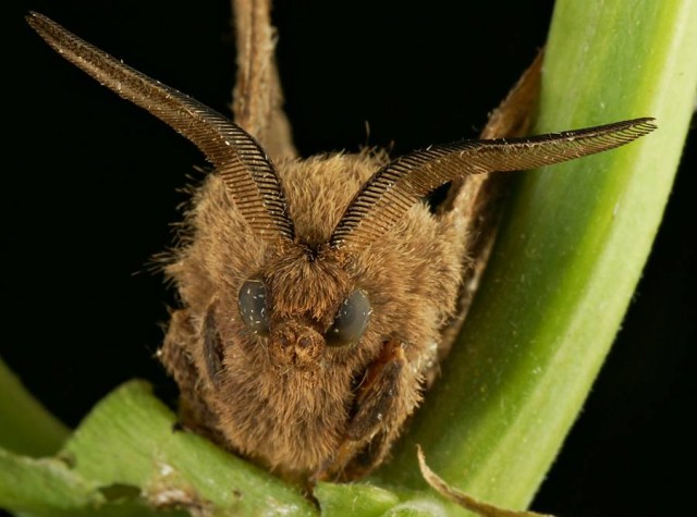 DSC02001
Фотограф: Сергей Буркацкий

Просмотров: 643
Комментариев: 0