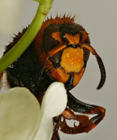 DSC00867
Фотограф: Сергей Буркацкий

Просмотров: 386
Комментариев: 0