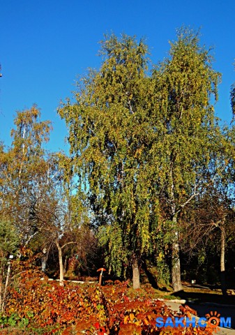 DSC06902