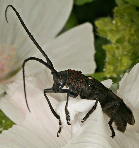 DSC01791
Фотограф: Сергей Буркацкий

Просмотров: 344
Комментариев: 0