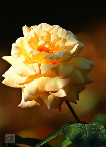 ***
Фотограф: Сергей Буркацкий

Просмотров: 1065
Комментариев: 0